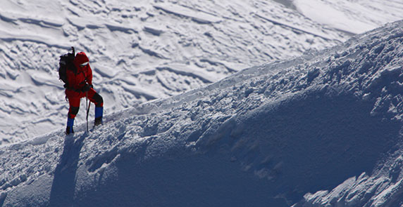 ������(8883��AMG)�ٷ���վ