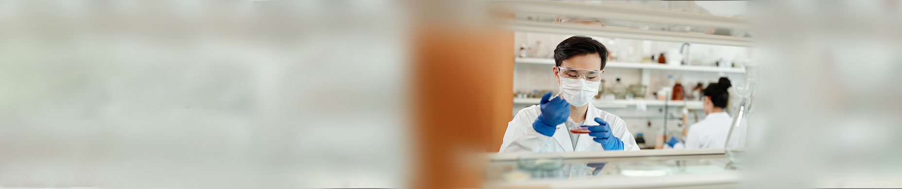 ������(8883��AMG)�ٷ���վ