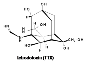 ���඾���Ƕ�����ҩ�վ���ҩ?