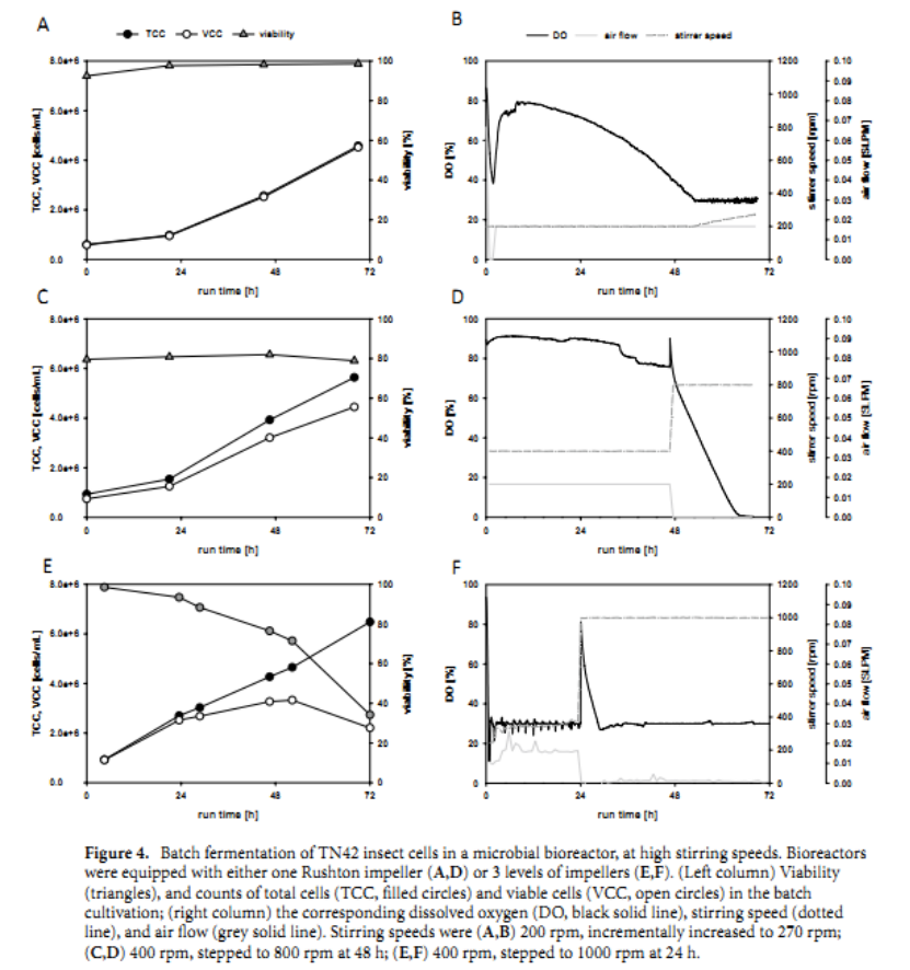 ϸ�������������ʵ�������������������߿�������