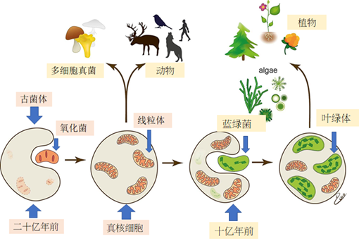 Ѱ���ഺ����Ȫ-��������˥����