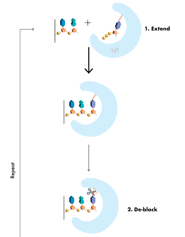 ���ºϳ���ش�Ѻ�������������������1005���������������������AAV��������������������ع�˾�ѻ�7320����Ԫ����