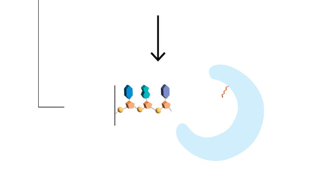 ���ºϳ���ش�Ѻ�������������������1005���������������������AAV��������������������ع�˾�ѻ�7320����Ԫ����