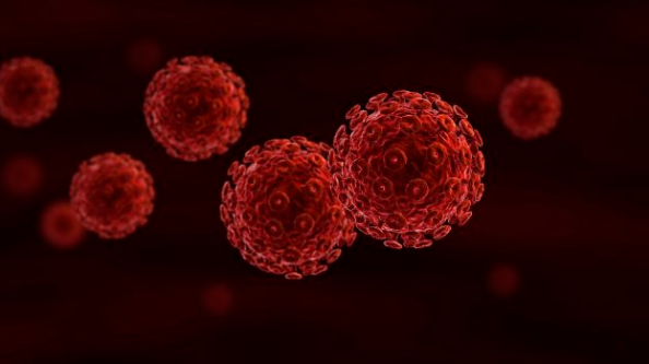 ȫ���4������ϸ����ֲ����66��HIV ����